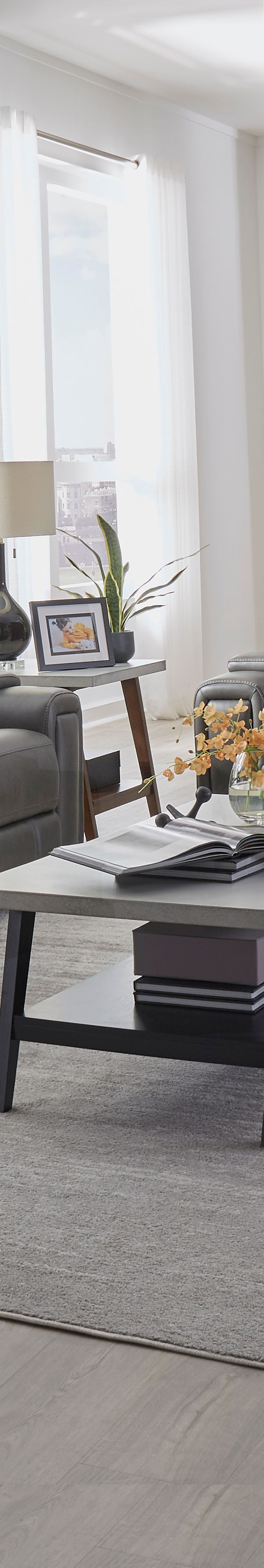 Hudson — 973-14 Oasis Coal